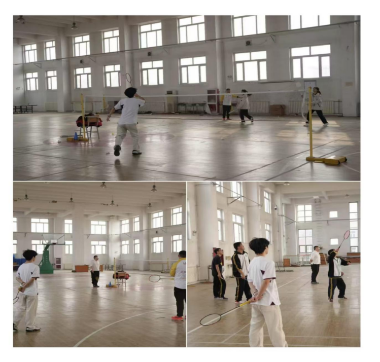 3377体育在线客户端
