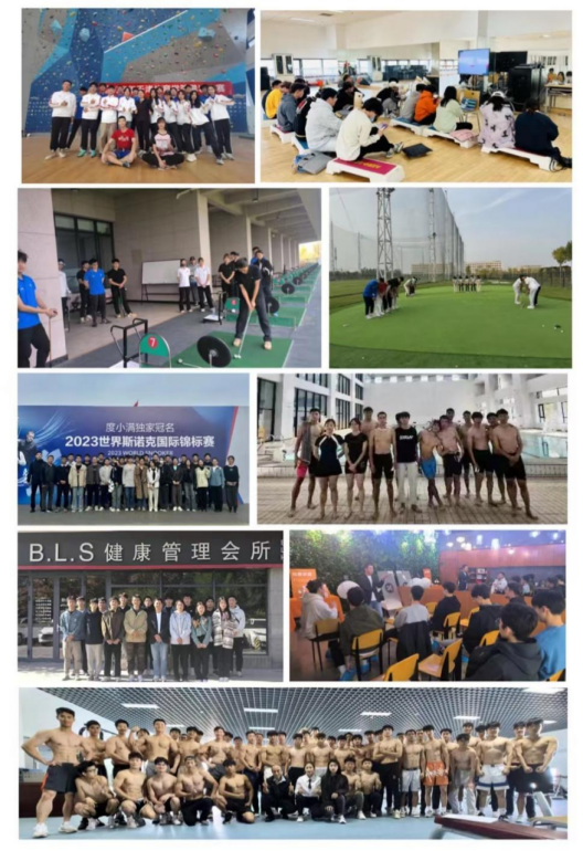 3377体育在线指定通道